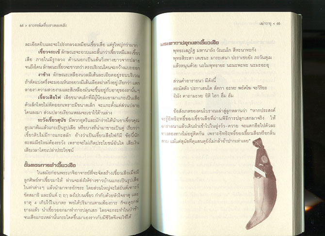 หนังสือ อาถรรพ์ เครื่องรางของขลัง (เครื่องรางของขลัง ยอดนิยม)