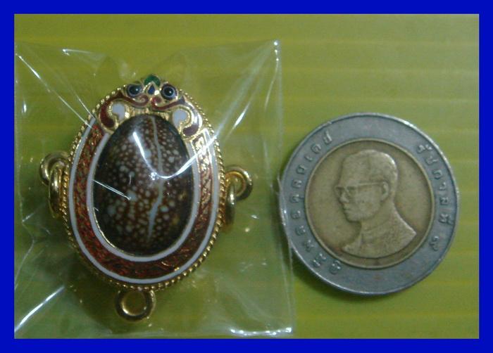 เบี้ยแก้หลวงปู่เจือ วัดกลางบางแก้ว จ.นครปฐม เลี่ยมทองคำลงยา 3 ห่วง จารครบสูตร
