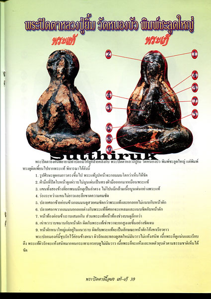 หนังสือ ข้อแตกต่างระหว่าง พระปิดตาเนื้อผง แท้-เก๊