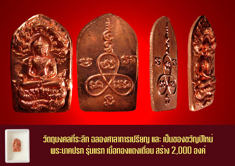 ปรก รุ่นแรก หลวงปู่พวง ทีเดียว 2 เหรียญ (3)