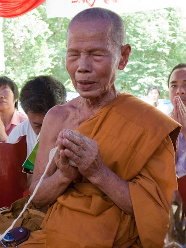 สาริกาไม้มะยมตายพราย (ยอนยุคตำหรับหลวงปู่ทิม)จารหัวใจหงษ์ทองคู่