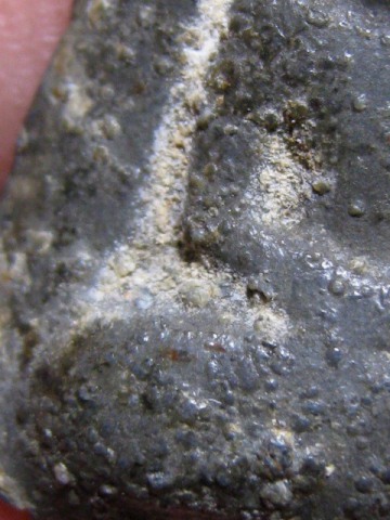 พระกลีบบัวหลังปิดตา เนื้อชินเขียว หลวงปู่บุญ วัดกลางบางแก้ว จ.นครปฐม มาพร้อมบัตรรับรอง  