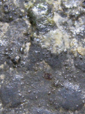 พระกลีบบัวหลังปิดตา เนื้อชินเขียว หลวงปู่บุญ วัดกลางบางแก้ว จ.นครปฐม มาพร้อมบัตรรับรอง  