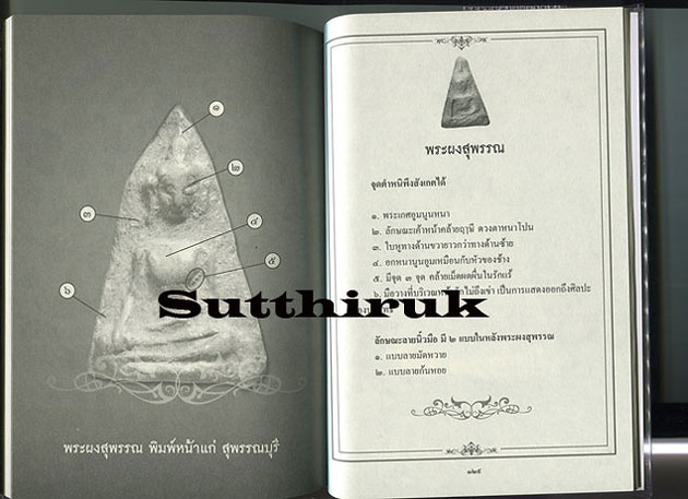 หนังสือ เซียนส่องพระ เบญจภาคี