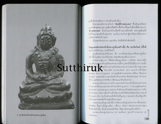 หนังสือ เกจิขลัง วัตถุมงคลศักดิ์สิทธิ์แห่งบางขุนเทียน หลวงปู่เอี่ยม วัดหนัง โดย นาน ตาปี