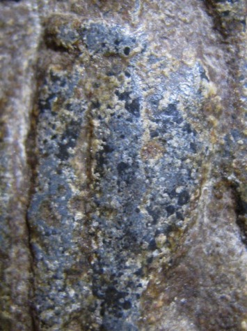 พระลีลา เนื้อชินเเขียว จ.สุโขทัย พระมีไขและปานดำทั่วไป พระดูง่าย