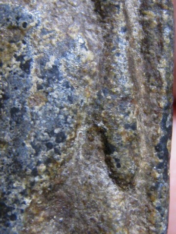 พระลีลา เนื้อชินเเขียว จ.สุโขทัย พระมีไขและปานดำทั่วไป พระดูง่าย