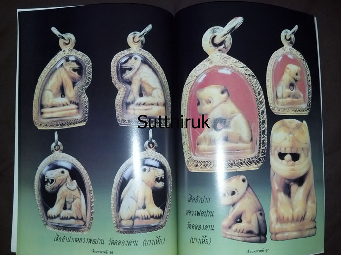 หนังสือ เสือ มหาเวทย์ เล่ม 1