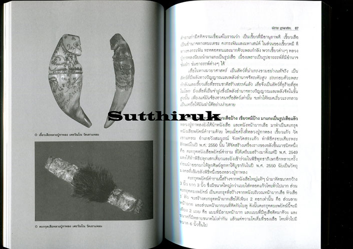 หนังสือ เสือ-สิงห์ สรรพสัตว์ในเครื่องรางของขลัง โดย ปลาย บูรพาทิศ