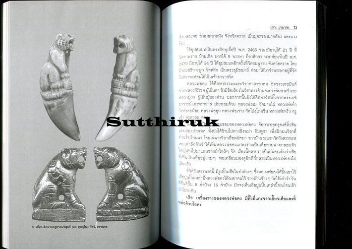 หนังสือ เสือ-สิงห์ สรรพสัตว์ในเครื่องรางของขลัง โดย ปลาย บูรพาทิศ