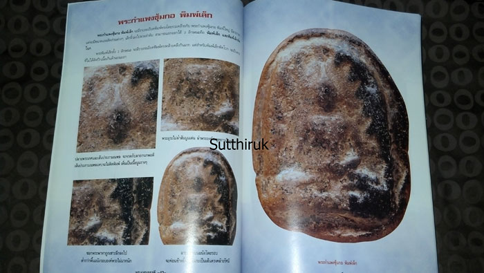หนังสือ พระเบญจภาคี องค์แชมป์ (ชี้ชัดตำหนิพิมพ์ ทุกพิมพ์นิยม)
