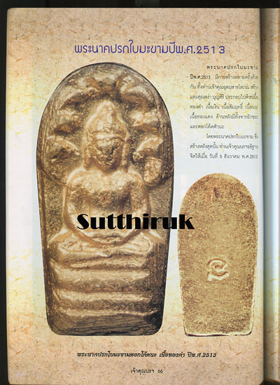 หนังสือ ประวัติและวัตถุมงคลยอดนิยม ท่านเจ้าคุณนรฯ วัดเทพศิรินทราวาส