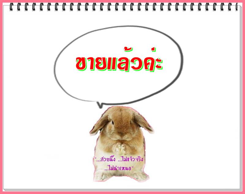รูปเหมือนหล่อฉลุ รุ่นเจริญดี _// หลวงปู่คำพันธ์ โฆษปัญโญ \\_ ..เนื้อเงิน.. "..สวยวิ๊ง..เคาะแรกค่ะ."
