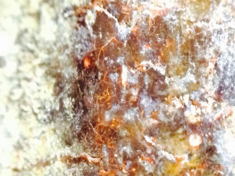 พระร่วง หลังรางปืน สนิมแดง