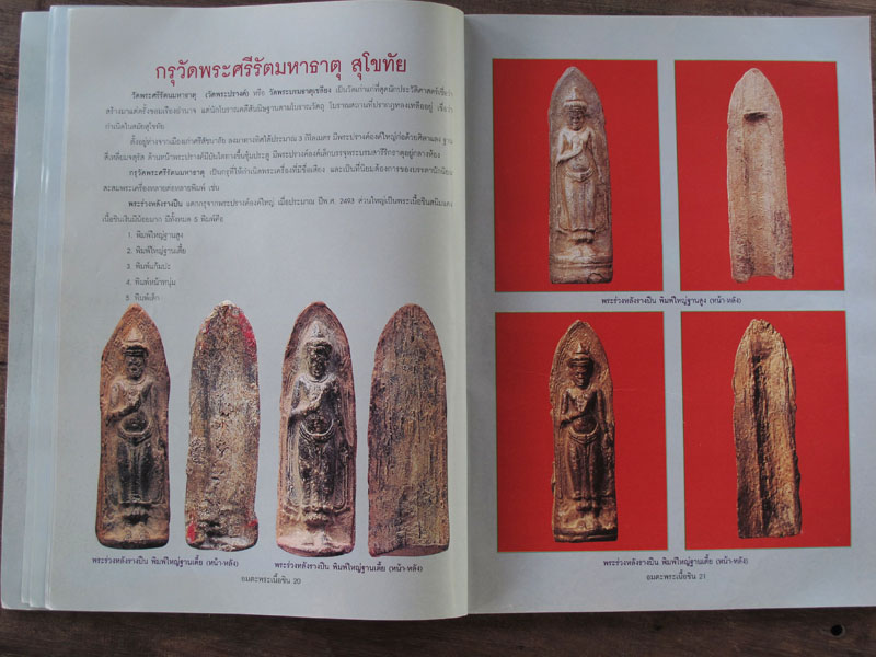 หนังสือ อมตะพระเนื้อชิน