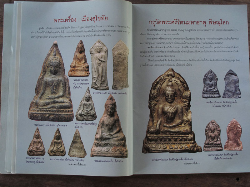 หนังสือ อมตะพระเนื้อชิน