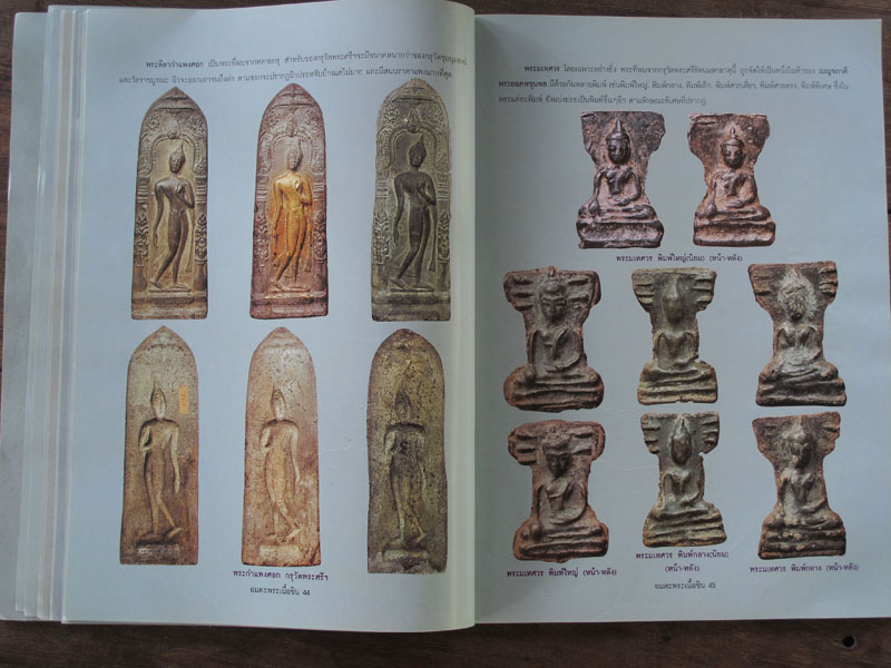 หนังสือ อมตะพระเนื้อชิน