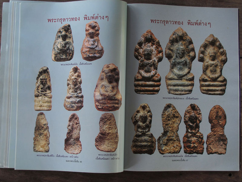 หนังสือ อมตะพระเนื้อชิน