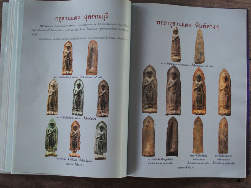 หนังสือ อมตะพระเนื้อชิน
