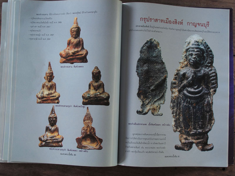 หนังสือ อมตะพระเนื้อชิน