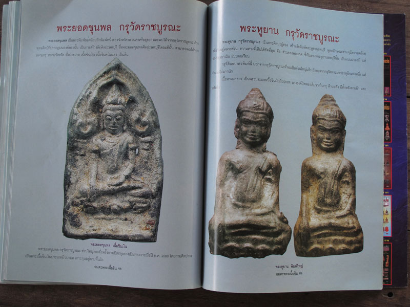 หนังสือ อมตะพระเนื้อชิน