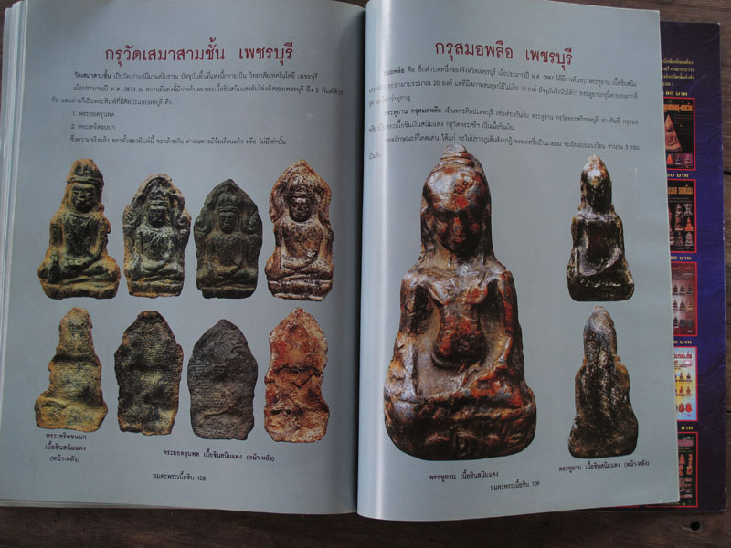 หนังสือ อมตะพระเนื้อชิน