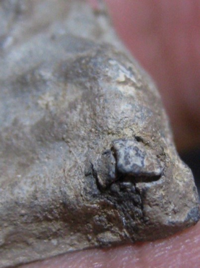 พระนาคปรก เนื้อชินเงิน กรุวัดโพธิ์ประทับช้าง จ.พิจิตร มีบัตรรับรองและราคาเบา ๆ