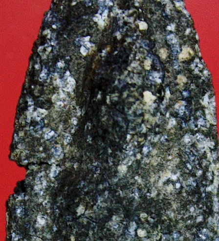 ลีลาสองหน้าเนื้อชินอุทุมพรไม่ระบุกรุ