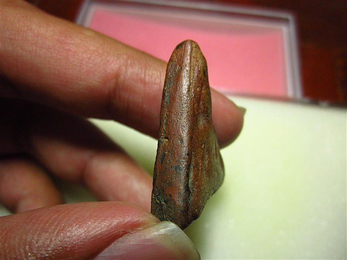 พระนางกรุดาวเสด็จ 