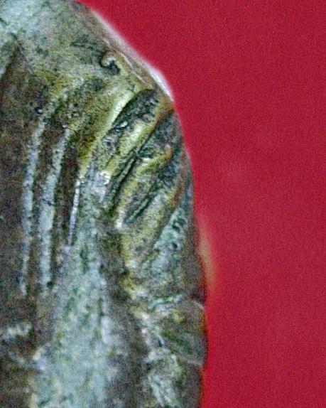 หลวงพ่อเดิม วัดหนองโพ ออกวัดโคกเดื่อ หลวงพ่อโอนสร้าง