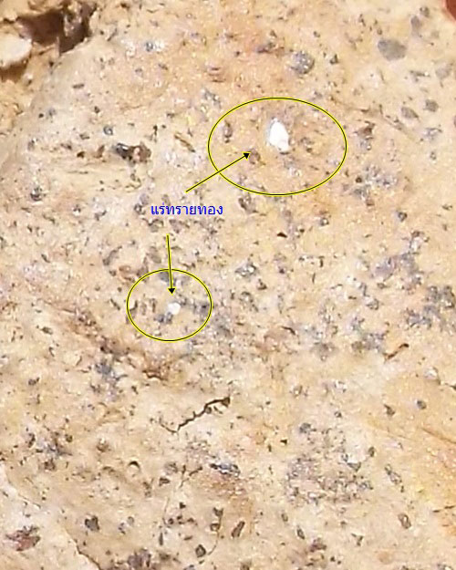 พระคง กรุวัดโปรดเกศ เนื้อดิน จ.นนทบุรี