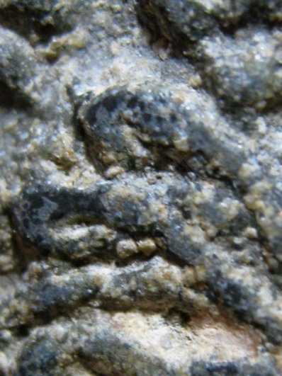 พระชินราช เนื้อชินเขียว กรุวังบัว จ.เพชรบุรี สภาพสวย ดูง่าย  