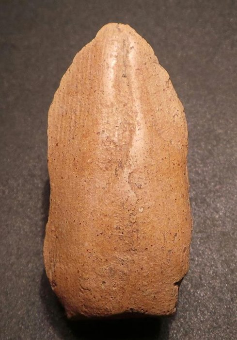 สกุลลำพูนที่หายากที่สุดพระรอดซุ้มเรือนแก้ว 