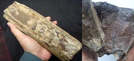 แหวนเงินหนาๆ หัววัตถุอาถรรน์