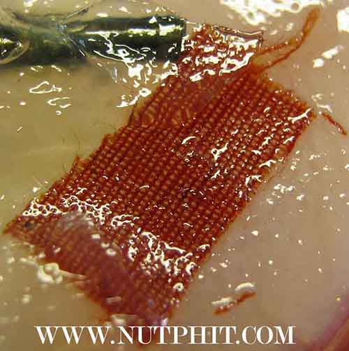 126*สีผึ้งมหาเมตตาผสมเทียนชัย ตะกรุดเงิน-ทอง-พร้อมจีวรของหลวงพ่อเกษม เขมโก ลำปาง*