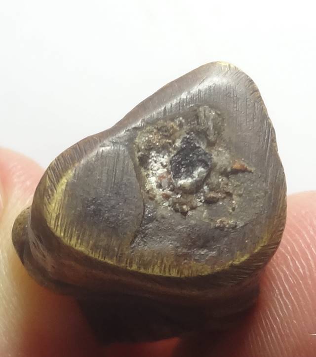 : หลวงพ่ออยู่ บางหัวเสือตามภาพ