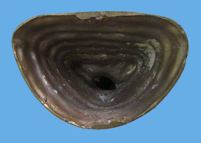 พระบูชาเนื้อทองเหลือง 2 องค์ พระนอนยาว 5 นิ้ว นาคปรกหน้าตัก 2 นิ้ว เคาะเดียวครับ