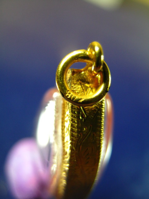 พระนาคปรกใบมะขาม หลวงพ่อสาคร วัดหนองกรับ เนื้อเงิน ปี 53 พร้อมเลี่ยมทองแท้สวยงามพร้อมใช้ครับA1