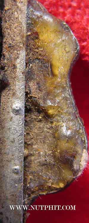 แหนบหลวงปู่ตื้อ เนื้ออัลปาก้าชุบนิเกิ้ล สร้าง พ.ศ.  2517+บัตรรับรองพระแท้*174