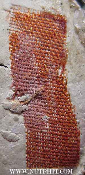 ล็อกเก็ต หลังผงพุทธคุณ+ธูปที่หลวงพ่อใช้ไหว้พระ+จีวร ลพ.เกษม เขมโก*195