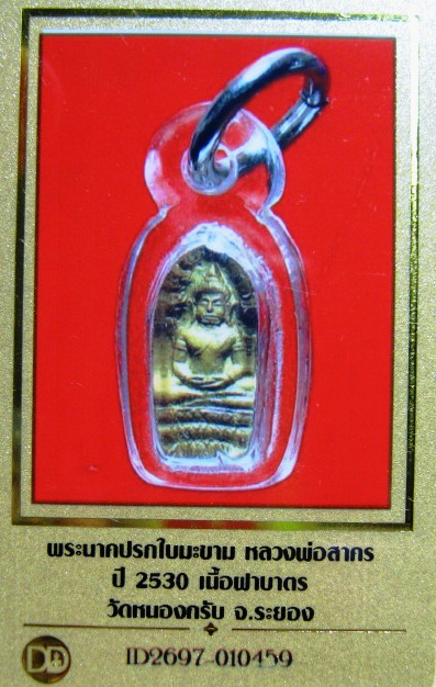 พระนาคปรกใบมะขามหลวงพ่อสาคร ปี2531 หลังยันต์นะอกแตก วัดหนองกรับ จ.ระยอง อยู่ในเลี่ยม 