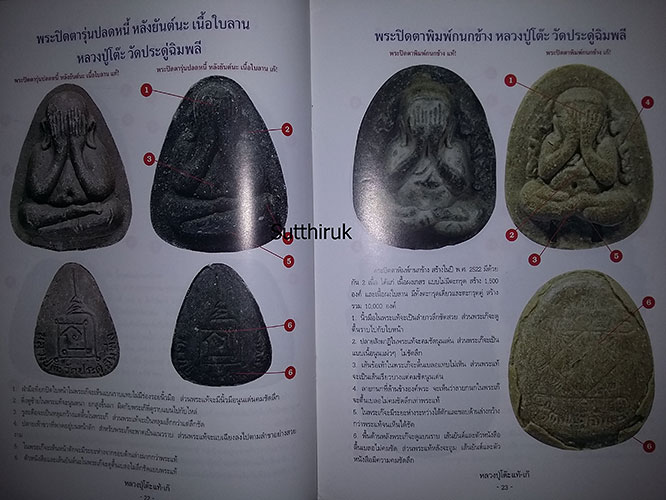 หนังสือ ชี้จุดศึกษาพระ หลวงปู่โต๊ะ วัดประดู่ฉิมพลี กรุงเทพฯ  แท้-เก๊
