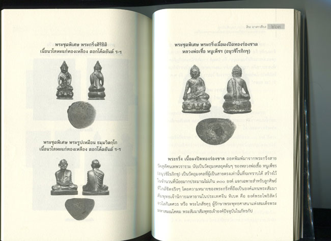 หนังสือ หลวงพ่อเชื้อ หนูเพ็ชร (อนุวชิโรภิกขุ) พระเกจิอาจารย์ผู้ปิดทองหลังพระในวงการพระเครื่อง (พระเค