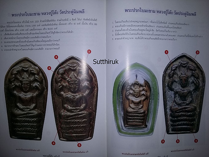 หนังสือ ชี้จุดศึกษาพระ หลวงปู่โต๊ะ วัดประดู่ฉิมพลี กรุงเทพฯ แท้-เก๊