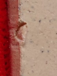 ชุดพระผง มหามงคลทั้ง9 วัดบางคลาน พิจิตร เคาะเดียว