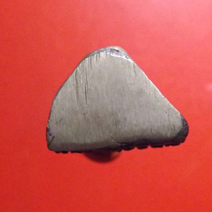 รูปหล่อหลวงปู่เจียม รุ่นตั้งมูลนิธิ จ.สุรินทร์