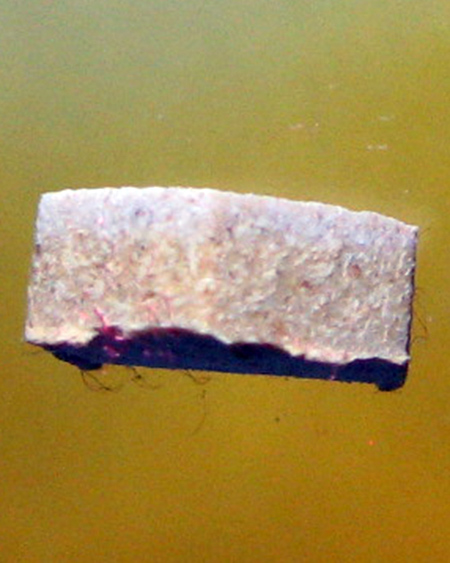 หลวงพ่อสาคร มนุญฺโญ วัดหนองกรับ อ.บ้านค่าย จ.ระยอง ( ศิษย์เอก หลวงปู่ทิม )