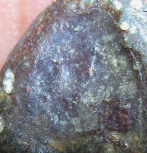 พระเล็บมือ เนื้อตะกั่วสนิมแดง กรุวัดสุวรรณ จ.อ่างทอง มาพร้อมบัตรรับรองความแท้