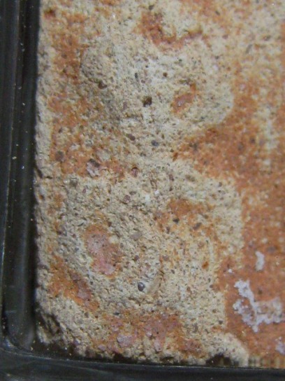 พระกรุนาดูนตัดสี่ เนื้อดิน จ.มหาสารคาม มีเลี่ยมเงินพร้อมห้อย