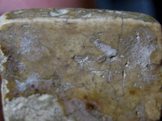 พระพิมพ์ทรงครุฑใหญ่ กรุวัดคู้สลอด จ.อยุธยา ครึ่งองค์ล่าง อาศัยพุทธคุณได้